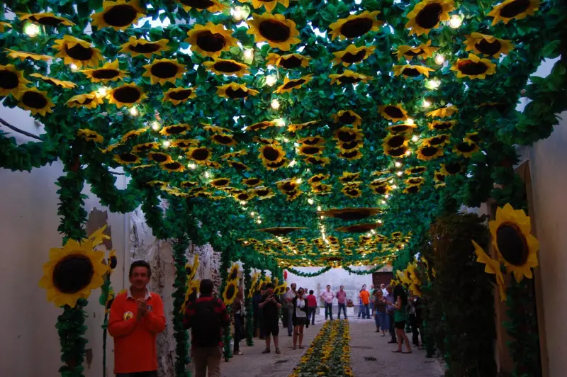 As ruas ornamentadas mostram o trabalho coletivo de preparação da Festa dos Tabuleiros. Fotografia da edição de 2011.