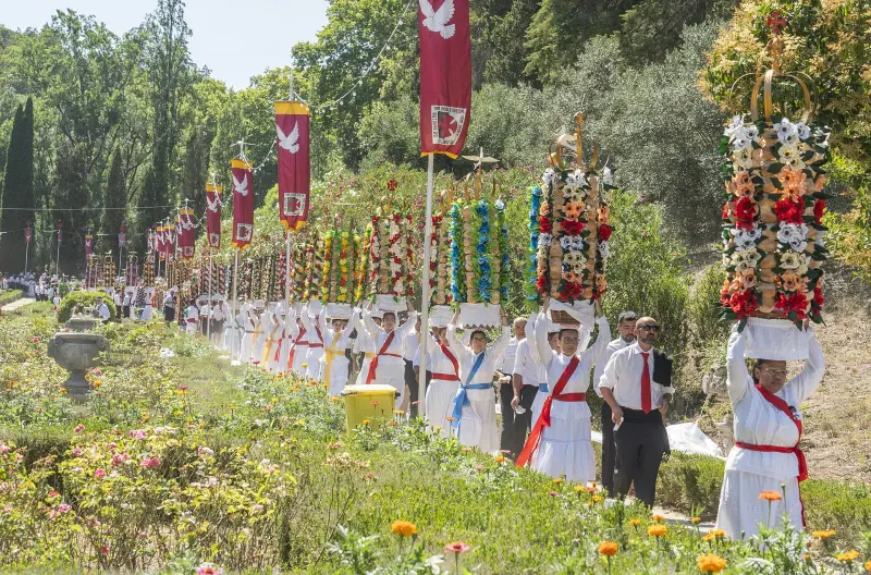 A Festa dos Tabuleiros é uma manifestação de património imaterial ligada à comunidade. Fotografia da edição de 2023.