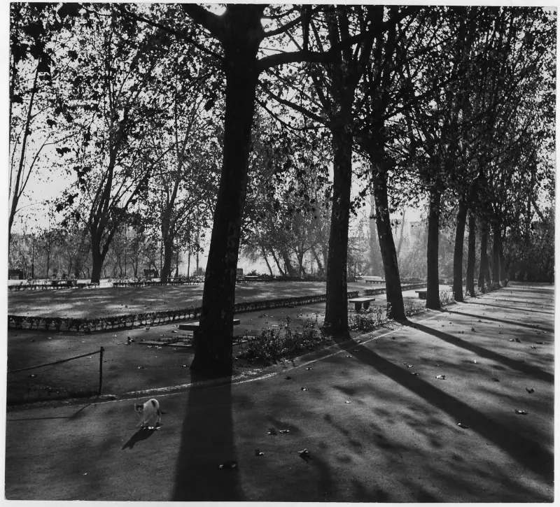 Vista de Tomar conservada nos National Archives dos Estados Unidos. O registo de origem situa a fotografia entre cerca de 1948 e 1955.