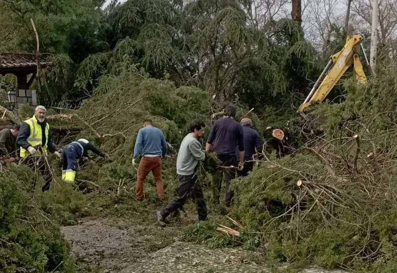 Imagem que acompanha a notícia «TOMAR - Tempestade Kristin. PS tem dúvidas sobre o destino que foi dado aos 20 mil euros angariados no evento solidário de Fevereiro. Tiago Carrão garante que as famílias foram apoiadas» (Rádio Hertz)
