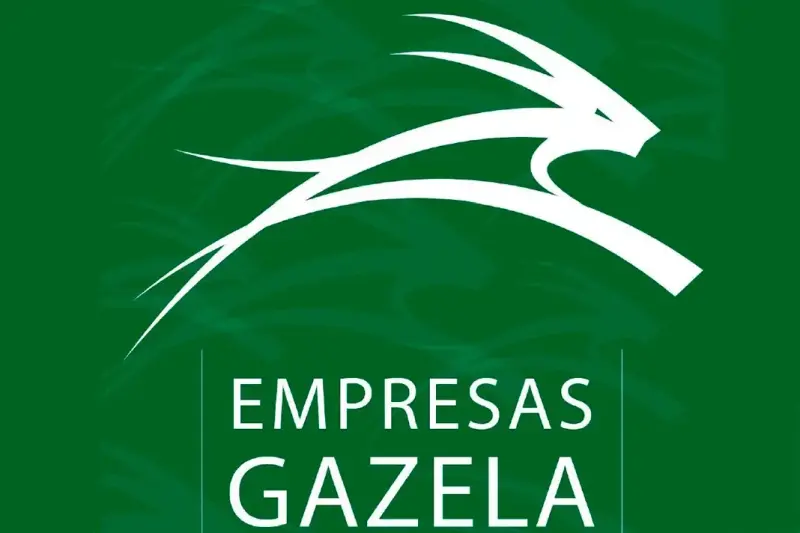 Há 17 Empresas Gazela reconhecidas pela CCDR Centro na região do Médio Tejo