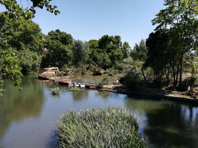Imagem que acompanha a notícia «Tomar recebe 200 mil euros para desassorear e limpar o rio Nabão» (mediotejo.net)