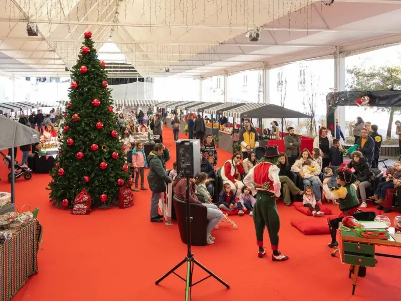 Imagem que acompanha a notícia «Torres Novas promove Feira dos Produtos da Terra Especial Natal» (mediotejo.net)
