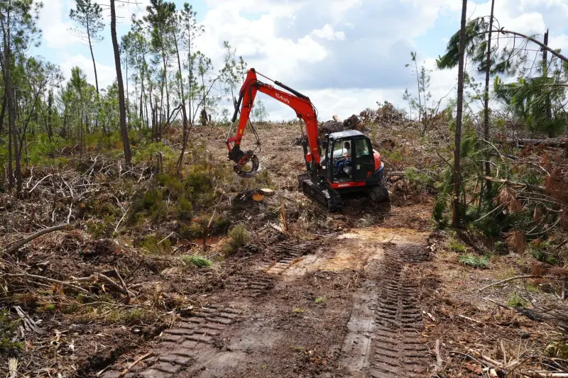 Imagem que acompanha a notícia «OURÉM - Câmara aprovou novos apoios financeiros para limpeza de terrenos» (Rádio Hertz)