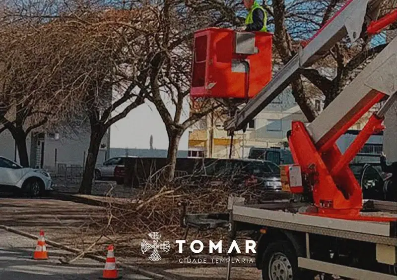 Imagem que acompanha a notícia «TOMAR - Câmara está em trabalhos de manutenção em várias zonas com arvoredo para garantias de segurança a pessoas e bens» (Rádio Hertz)