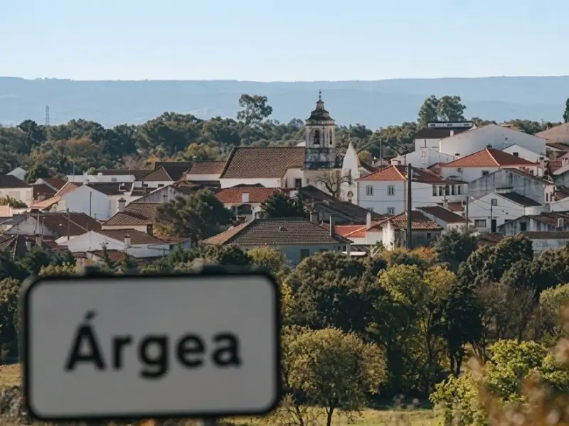 Imagem que acompanha a notícia «Torres Novas prepara declaração de nulidade de ato ligado a projeto de biometano» (MedioTejo.net)