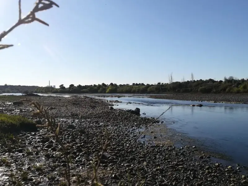 Imagem que acompanha a notícia «Ambientalistas dizem que caudal mínimo diário no Tejo continua por cumprir» (mediotejo.net)