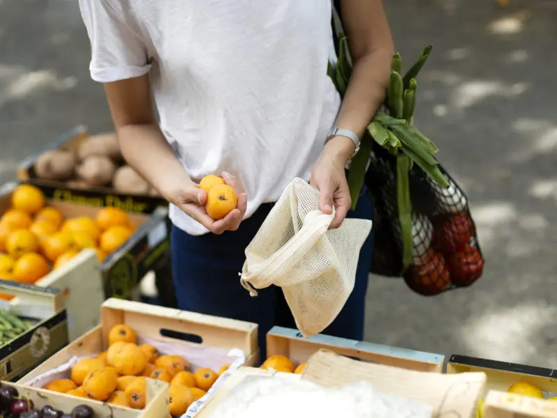 Imagem que acompanha a notícia «Ecomercado regressa à Sertã com produtos locais e consumo sustentável» (mediotejo.net)