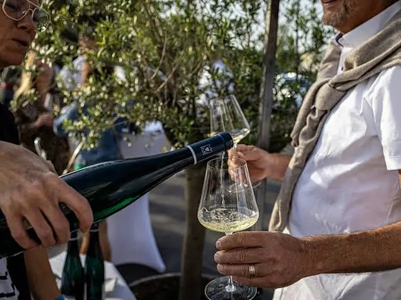 Imagem que acompanha a notícia «Sertã | Vinho e produtos do território em destaque no regresso do ‘Avinharte’» (mediotejo.net)
