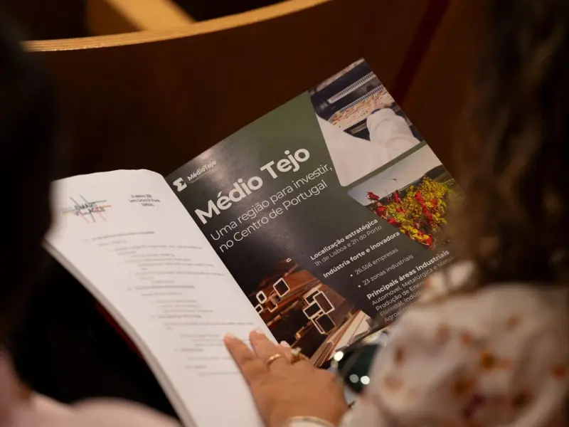 Imagem que acompanha a notícia «‘Oeste e Vale do Tejo: da Smart Region à Wise Region’, por Rui Serrano» (mediotejo.net)
