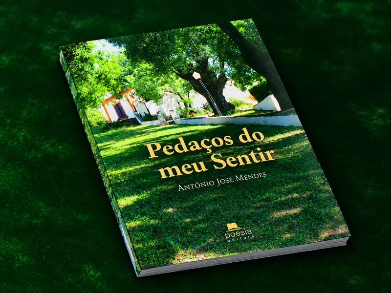 Imagem que acompanha a notícia «Abrantes | António Jorge Mendes leva “Pedaços do meu sentir” à Biblioteca António Botto» (mediotejo.net)