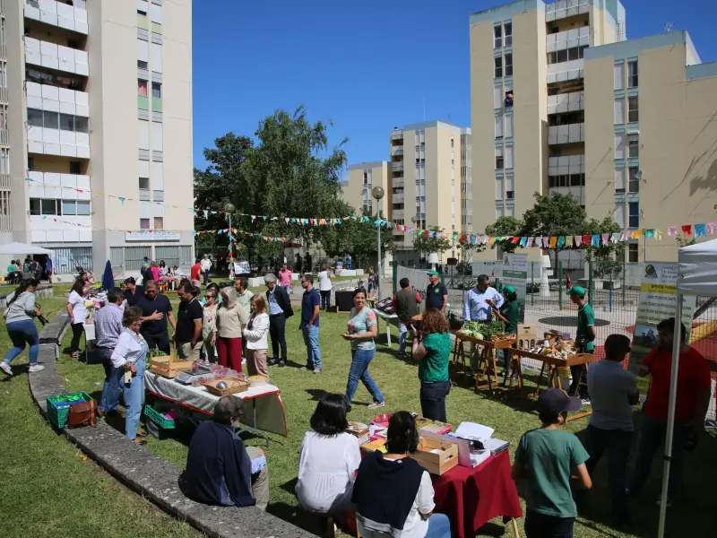 Imagem que acompanha a notícia «“Dia Cultural” na Encosta da Barata promove desporto, cultura e convívio em Abrantes» (mediotejo.net)