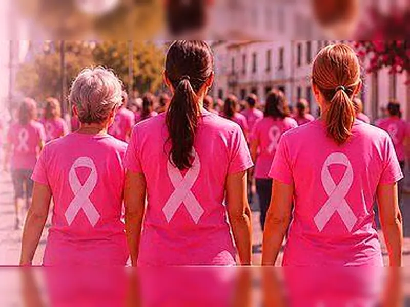 Imagem que acompanha a notícia «Caminhada noturna na Sertã sensibiliza para a prevenção do cancro da mama» (mediotejo.net)