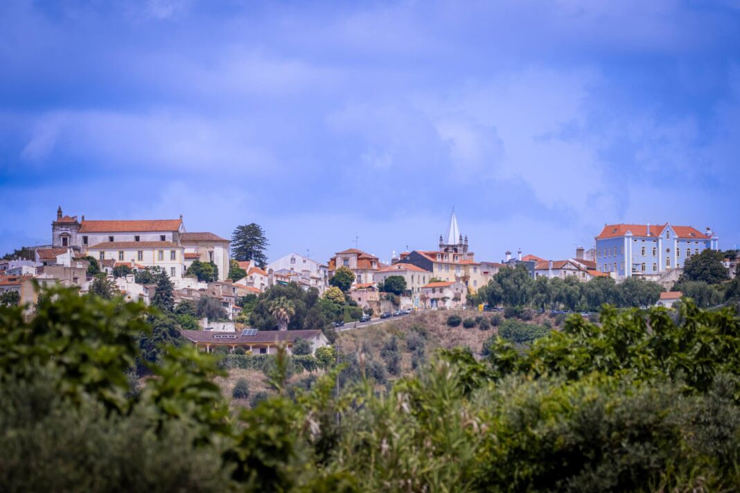 abrantes-–-programa-“+-comercio-no-centro”-apoia-mais-um-negocio-no-centro-historico