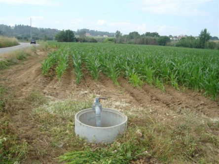 apos-3-meses-de-corte,-agua-volta-a-correr-na-rede-de-rega-da-barragem-do-carril