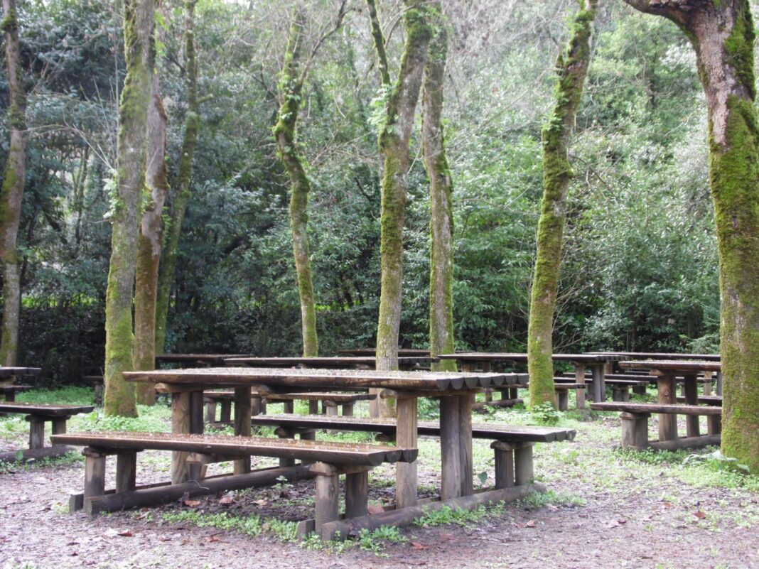 adirn:-ribatejo-norte-vai-ter-ao-dispor-3,2-milhoes-de-euros-para-projetos-de-bem-estar