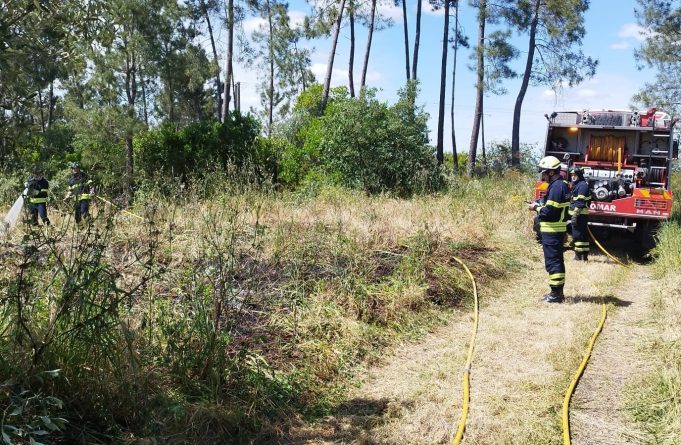 tomar-–-concelho-em-risco-‘muito-elevado’-de-incendio-ate-domingo