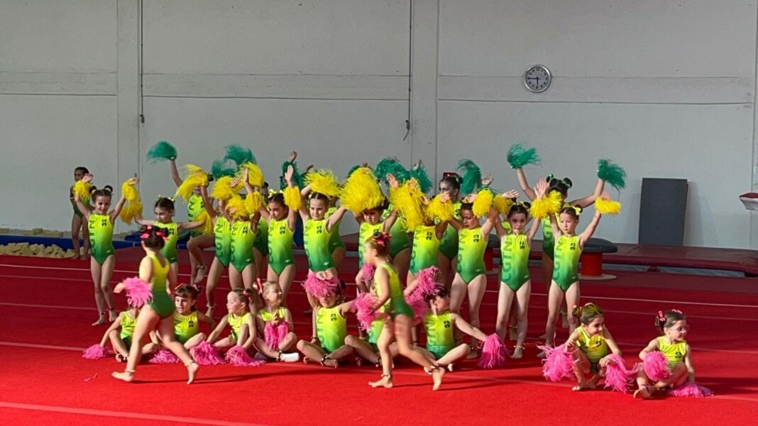 ginastica-–-clube-de-ginastica-de-torres-novas-promoveu-mais-um-sarau