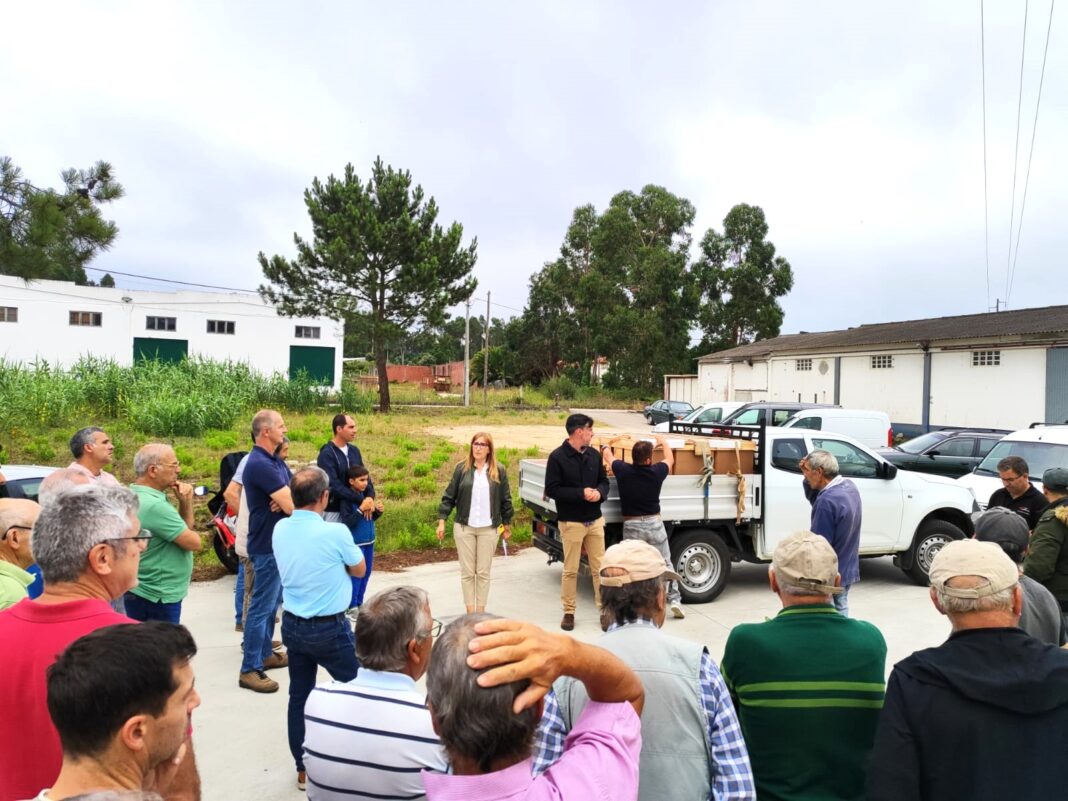 leiria-–-municipio-entregou-50-enxames-de-abelhas-a-apicultores-do-concelho