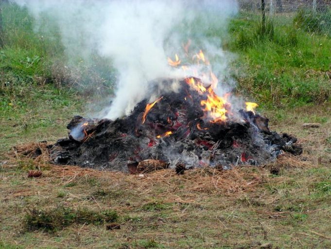 tomar-–-segunda-feira-com-chuva…-mas-as-queimas-de-sobrantes-continuam-proibidas.-nao-arrisque!