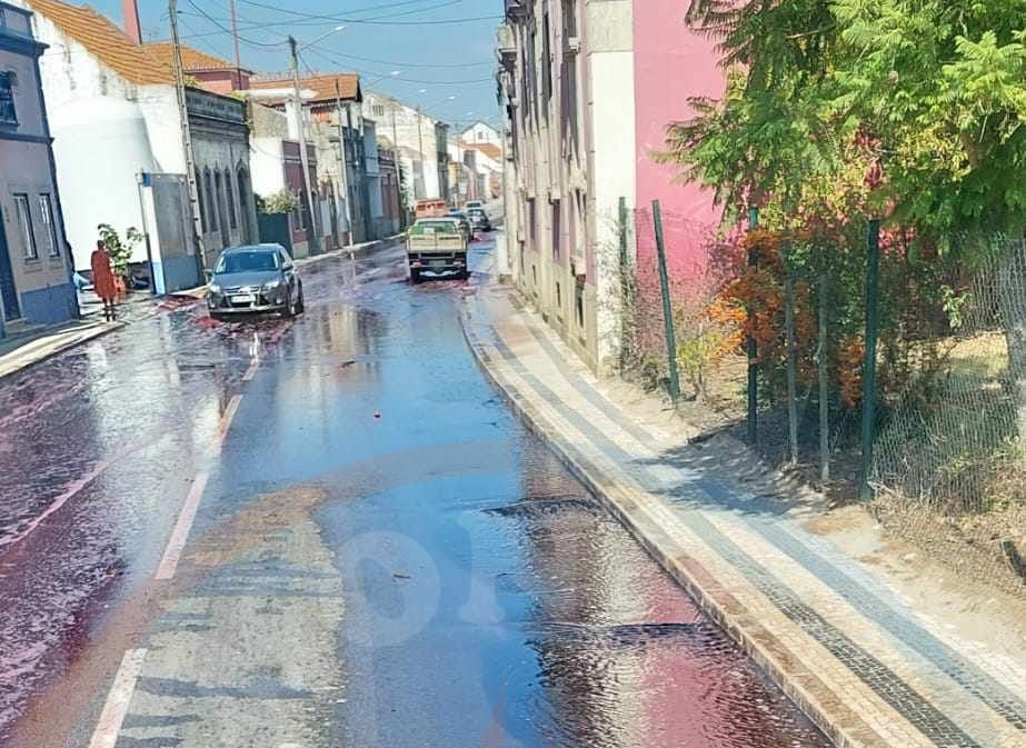 alpiarca-–-rebentamento-de-tanque-de-vinho…-‘inundou’-algumas-arterias-da-vila