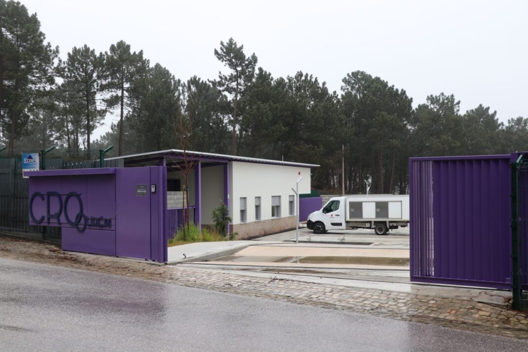 camara-de-ourem-vai-ampliar-centro-de-recolha-para-caes-e-gatos