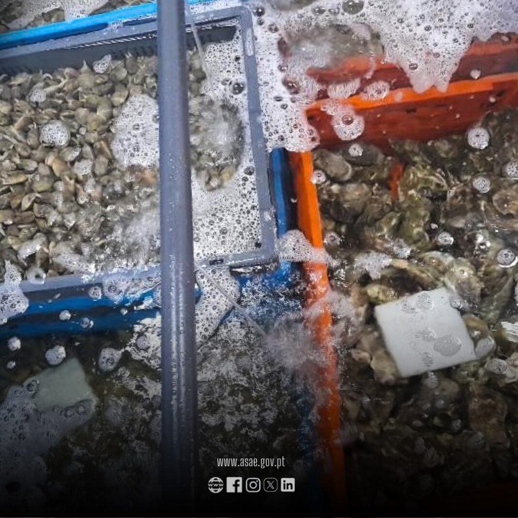 atualidade-–-asae-apreende-mais-de-uma-tonelada-de-generos-alimenticios