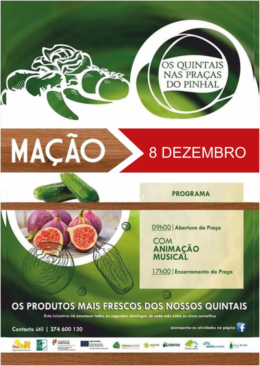 macao-–-‘quintais-nas-pracas-do-pinhal’-com-inscricoes-em-curso