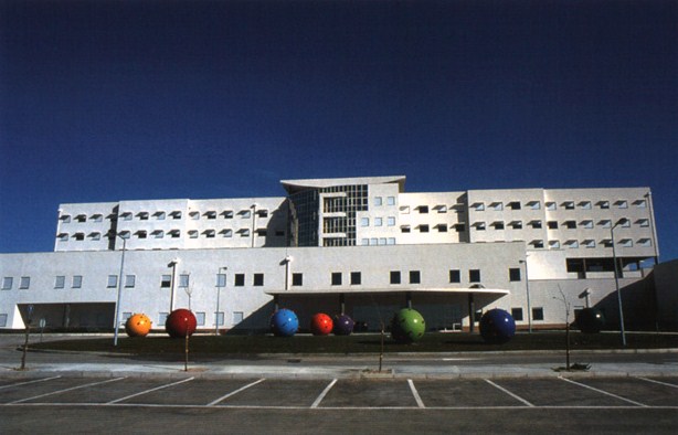 torres-novas-–-liga-dos-amigos-do-hospital-promove-seminario-sobre-voluntariado-hospitalar