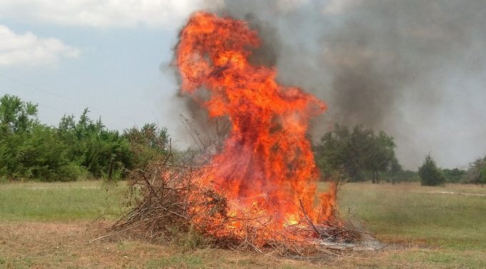 tomar-–-ainda-ha-quem-realize-queimas-sem-pedir-a-obrigatoria-autorizacao