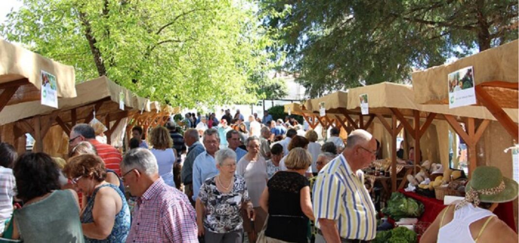 serta-abre-portas-aos-‘quintais-nas-pracas-do-pinhal’-com-produtos-frescos-e-artesanato