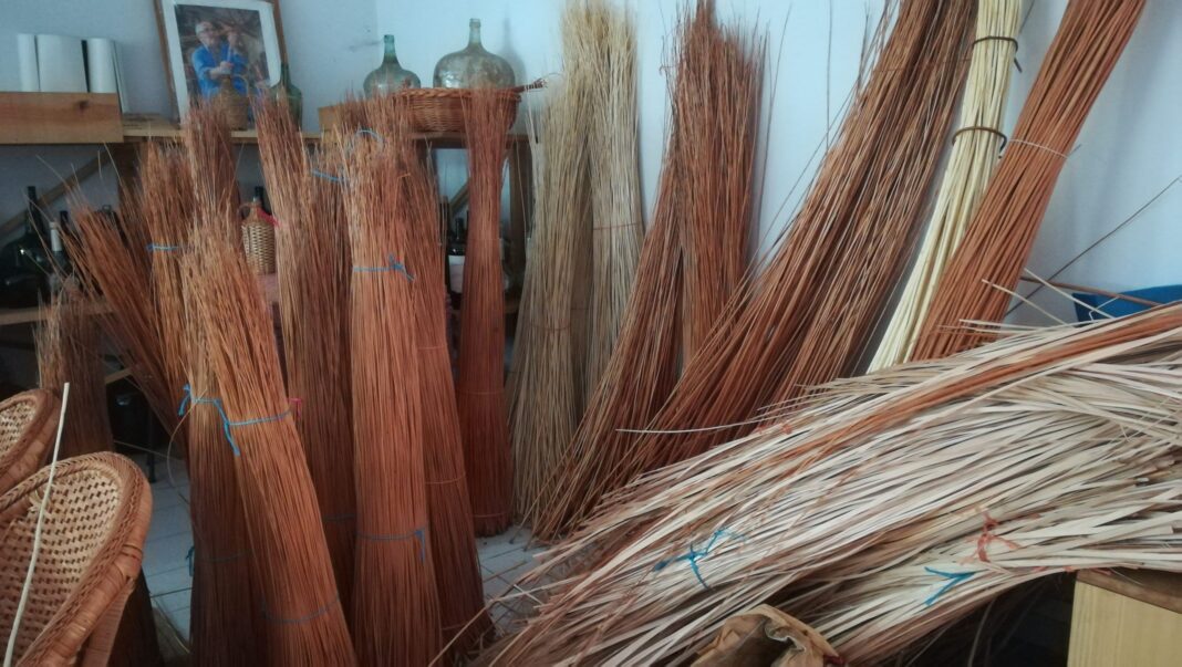 vila-de-rei-|-‘cultura-de-um-povo’-promove-concurso-de-fotografia