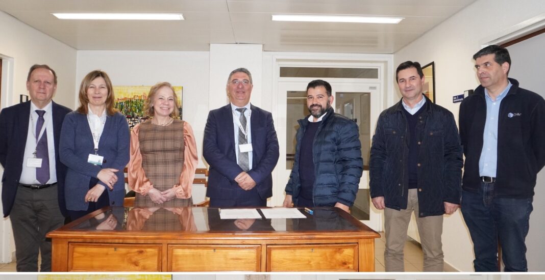 tomar-–-esta-adjudicada-a-obra-para-construcao-de-um-novo-edificio-de-pedopsiquiatria-no-hospital