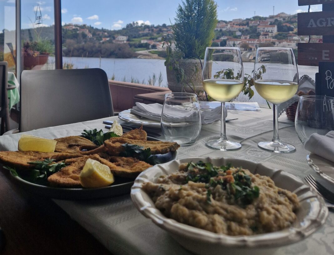 mostra-de-peixe-do-rio-regressa-em-maio-a-barquinha