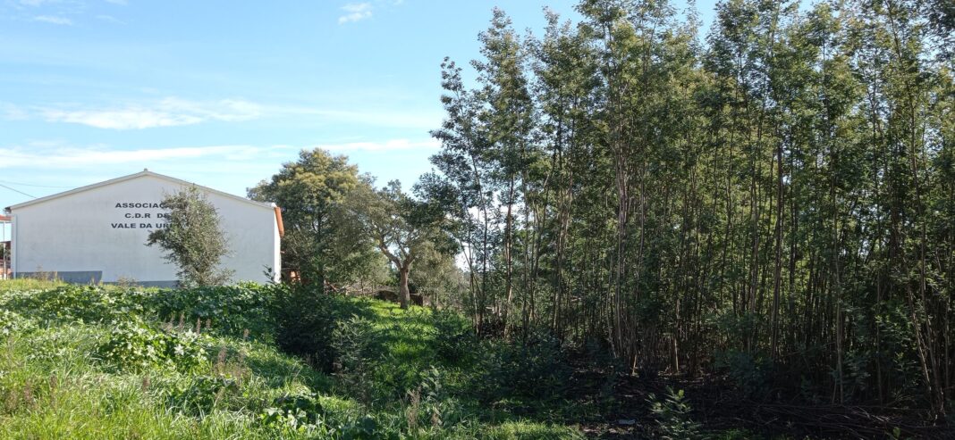 vila-de-rei-avanca-com-projeto-‘condominio-de-aldeia’-em-vale-da-urra-e-varzeas
