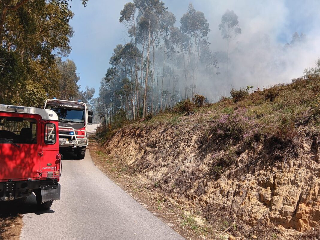 tomar-–-temperaturas-vao-aumentar…-e-o-risco-de-incendio-tambem.-avaliacao-ira-passar-a-‘elevado’