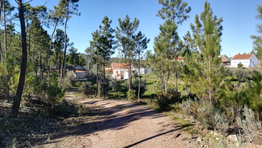 incendios-|-exercicio-“aldeia-segura,-pessoas-seguras”-em-santiago-de-montalegre