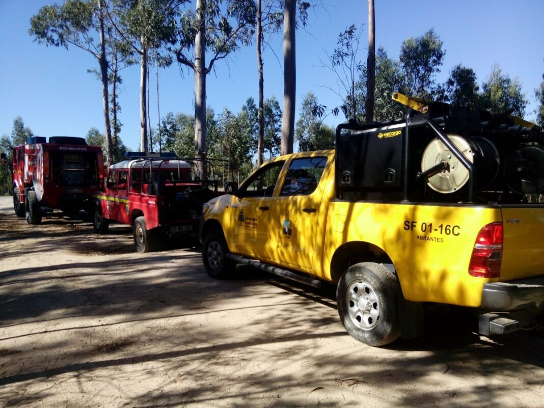 ipma-alerta-para-subida-da-temperatura-e-aumento-do-perigo-de-incendio