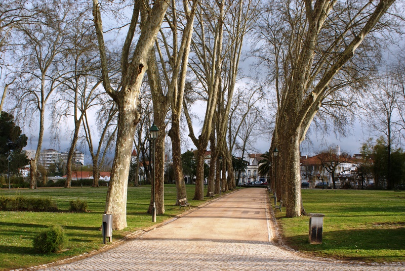 salvar-o-mouchao:-colocar-o-interesse-publico-a-frente-do-privado