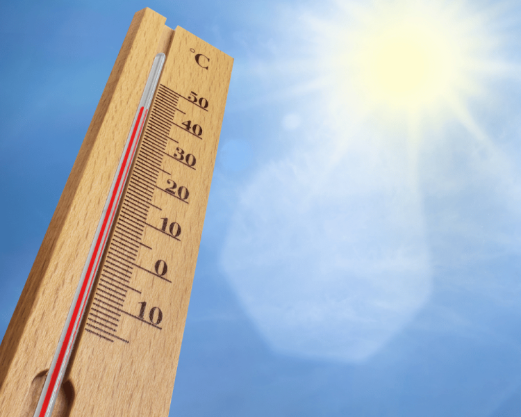trabalhar-sob-sol-ardente,-com-elevadas-temperaturas,-deveria-ser-proibido