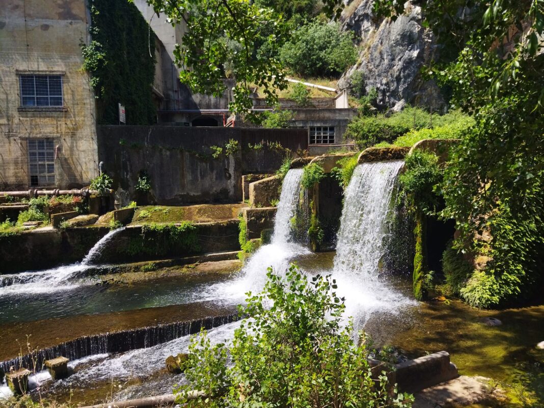 torres-novas-|-“ciencia-viva-no-verao”-convida-a-explorar-natureza-e-patrimonio