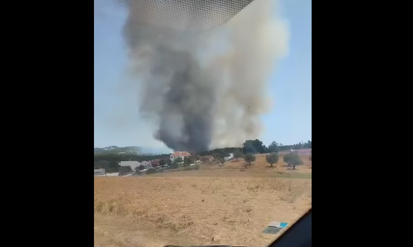 santarem-–-atencao!-incendio-‘corta’-circulacao-na-en362,-entre-alcanede-e-aldeia-da-ribeira