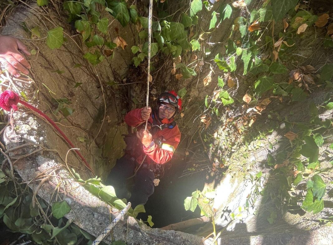 entroncamento-–-bombeiros-resgataram-gato-de-um-poco-com-profundidade-de-30-metros