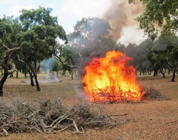 tomar-–-concelho-em-risco-‘muito-elevado’-de-incendio-nao-faca-queimas.-e-proibido!