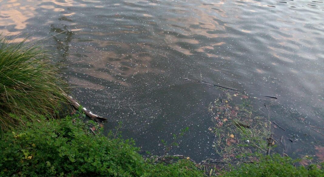 tomar-–-nabao-com-odor-«a-azeite»-e-com-agua-«oleosa»…-sinais-evidentes-de-descarga-poluente