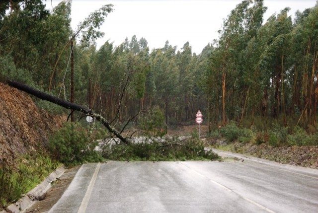 medio-tejo-–-ipma-reforca-alerta-para-chuva-intensa-e-ventos-fortes-nesta-sexta-feira
