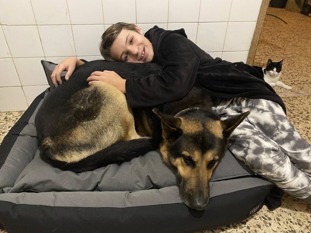 mae-do-alfie,-menino-assassinado,-desabafa-destrocada-que-nao-sabe-como-vai-superar