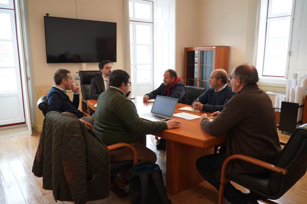 tomar-e-icnf-estreitam-cooperacao-na-gestao-da-mata-dos-sete-montes