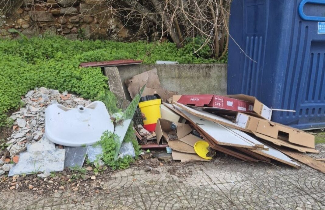 rio-de-moinhos-remove-monos-da-via-publica-e-apela-ao-civismo