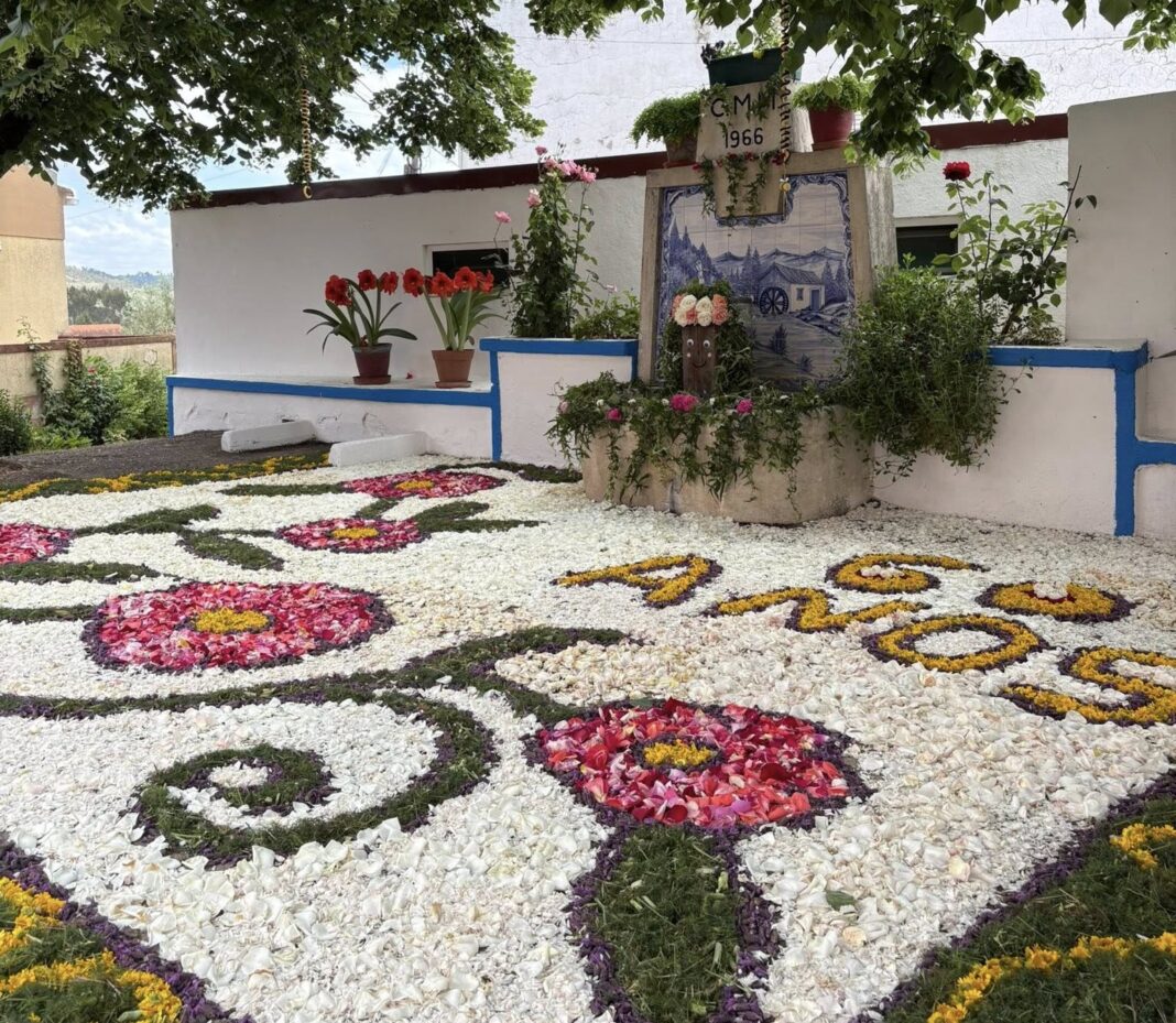 ortiga-renova-tradicao-e-cobre-fontes-de-flores-no-1o-de-maio